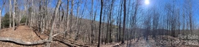 Lot at 803254 Ivy Road, Mills River, photo 15 of 20