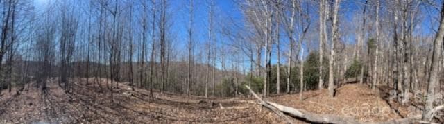 Lot at 803254 Ivy Road, Mills River, photo 16 of 20