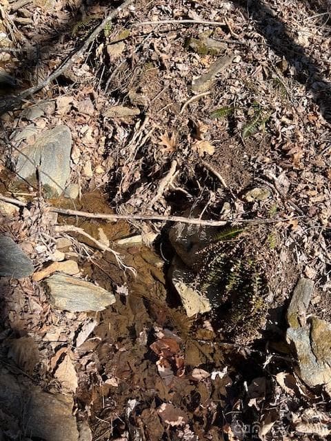Lot at 803254 Ivy Road, Mills River, photo 17 of 20