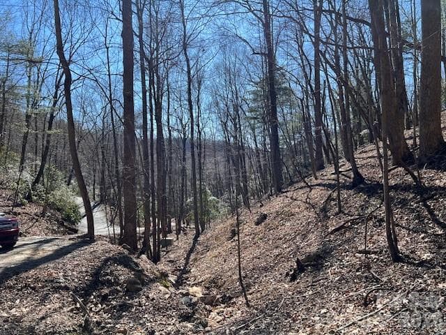 Lot at 803254 Ivy Road, Mills River, photo 18 of 20