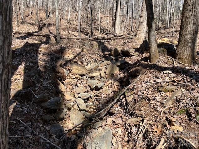 Lot at 803254 Ivy Road, Mills River, photo 19 of 20