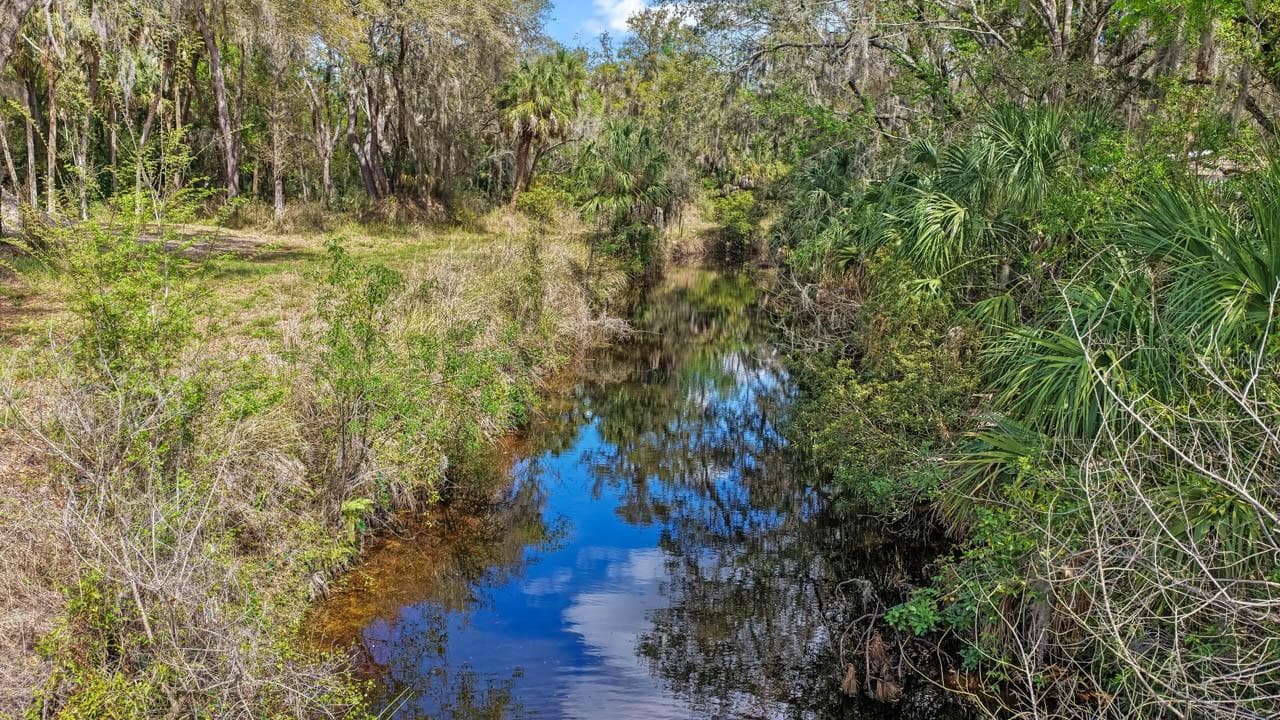 Land at 3106 TIMBERLEE RD, WIMAUMA, photo 53 of 70