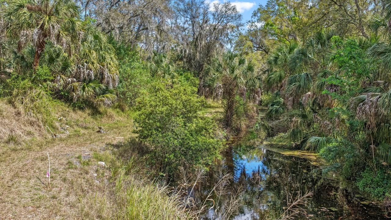 Land at 3106 TIMBERLEE RD, WIMAUMA, photo 59 of 70