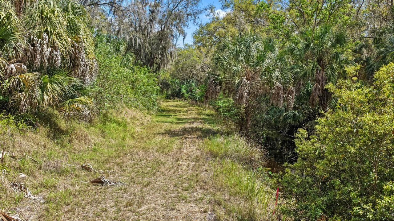 Land at 3106 TIMBERLEE RD, WIMAUMA, photo 60 of 70