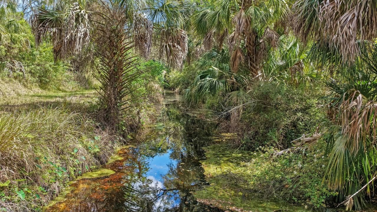 Land at 3106 TIMBERLEE RD, WIMAUMA, photo 62 of 70