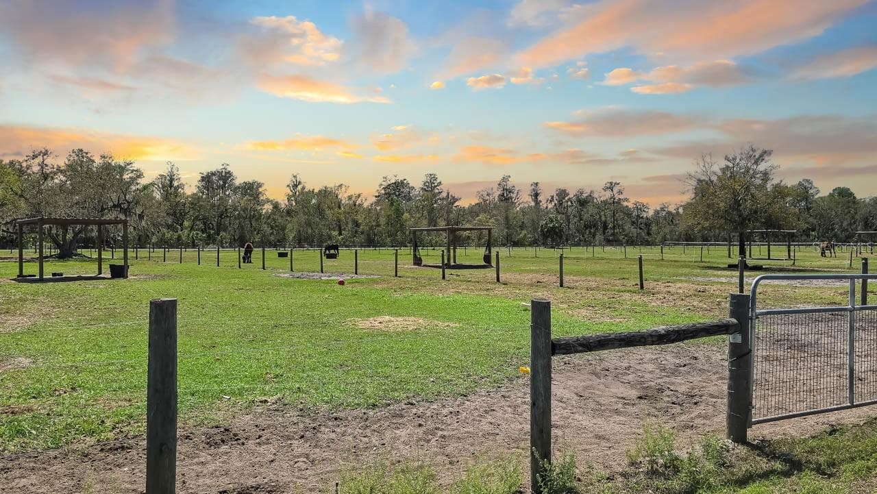 Land at 3106 TIMBERLEE RD, WIMAUMA, photo 67 of 70