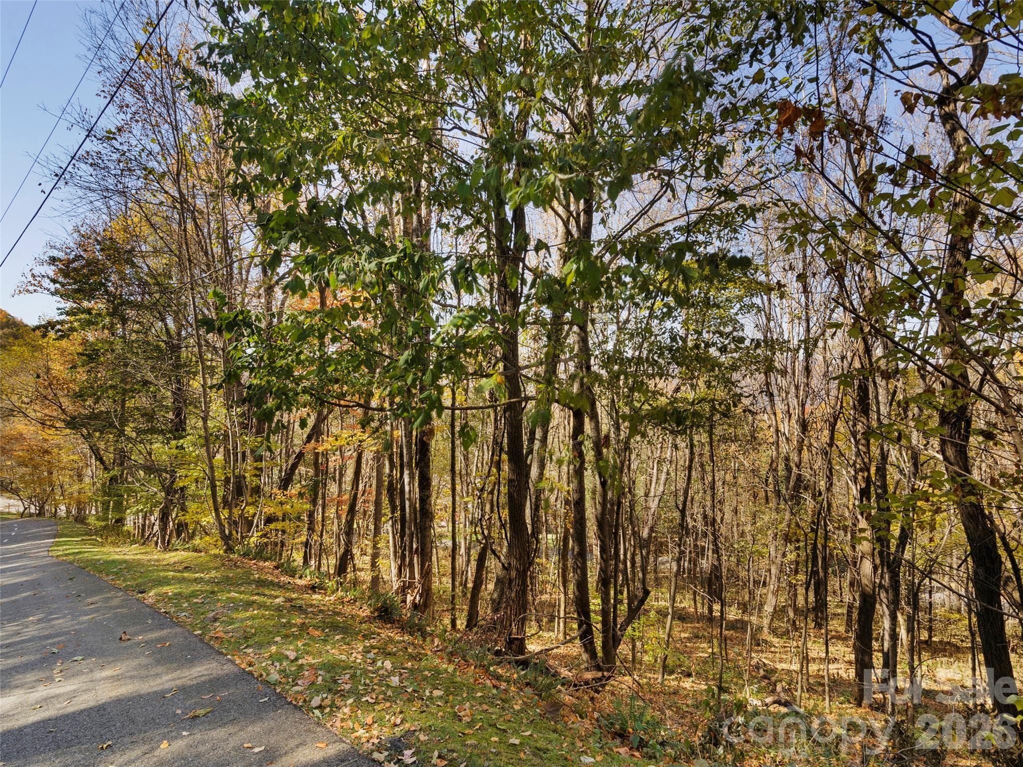 Lot at Lot 28 Jefferson Lane, Waynesville, photo 2 of 11