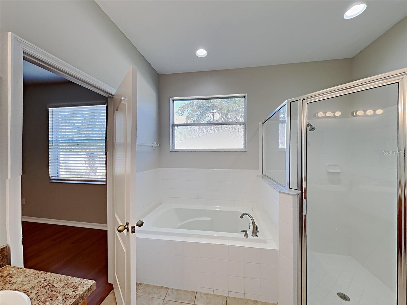 Single Family Residence at 4020 LANGDRUM DR, WESLEY CHAPEL, photo 10 of 24