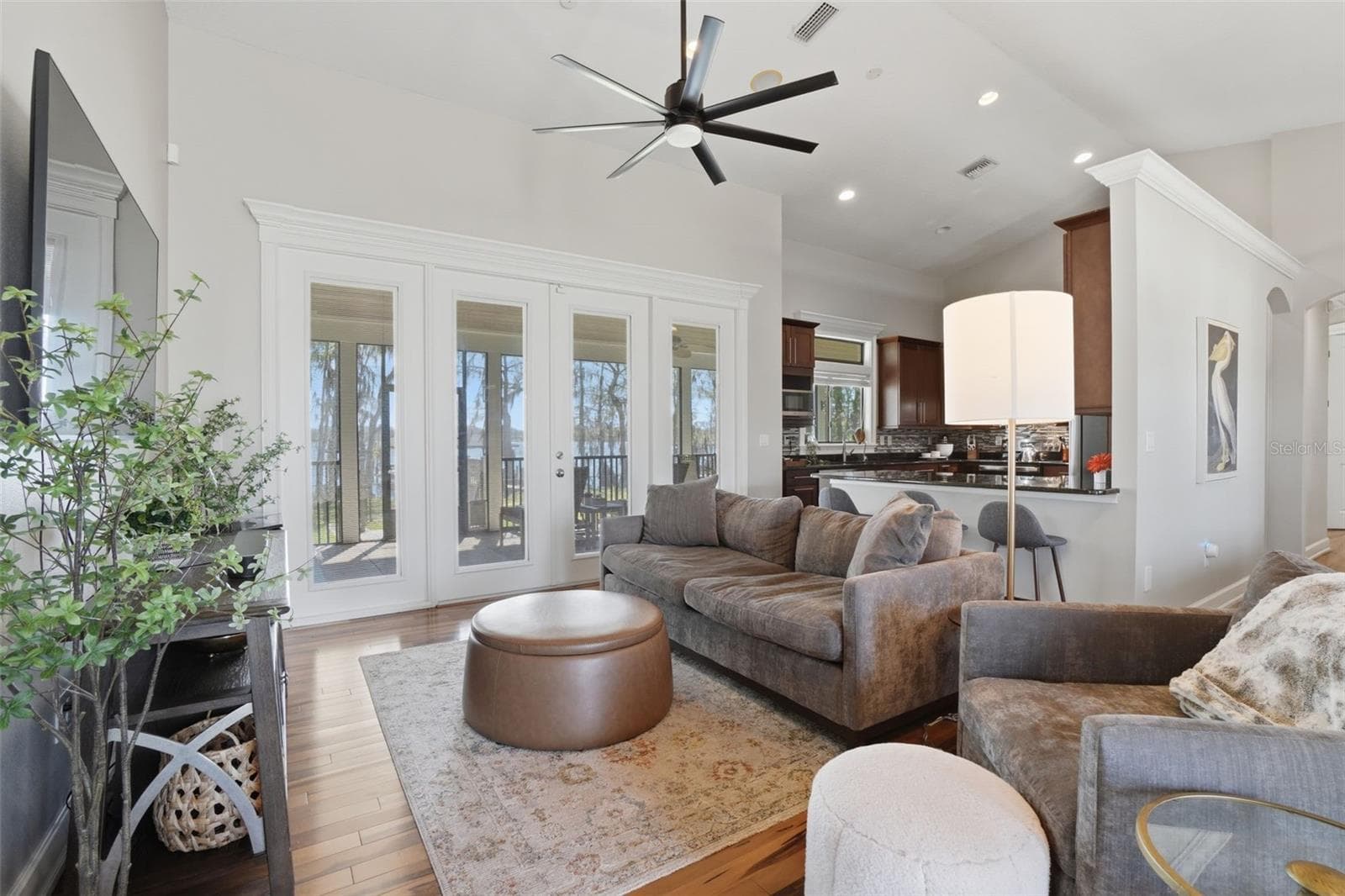 Living room - 834 MILLSHORE DR, CHULUOTA