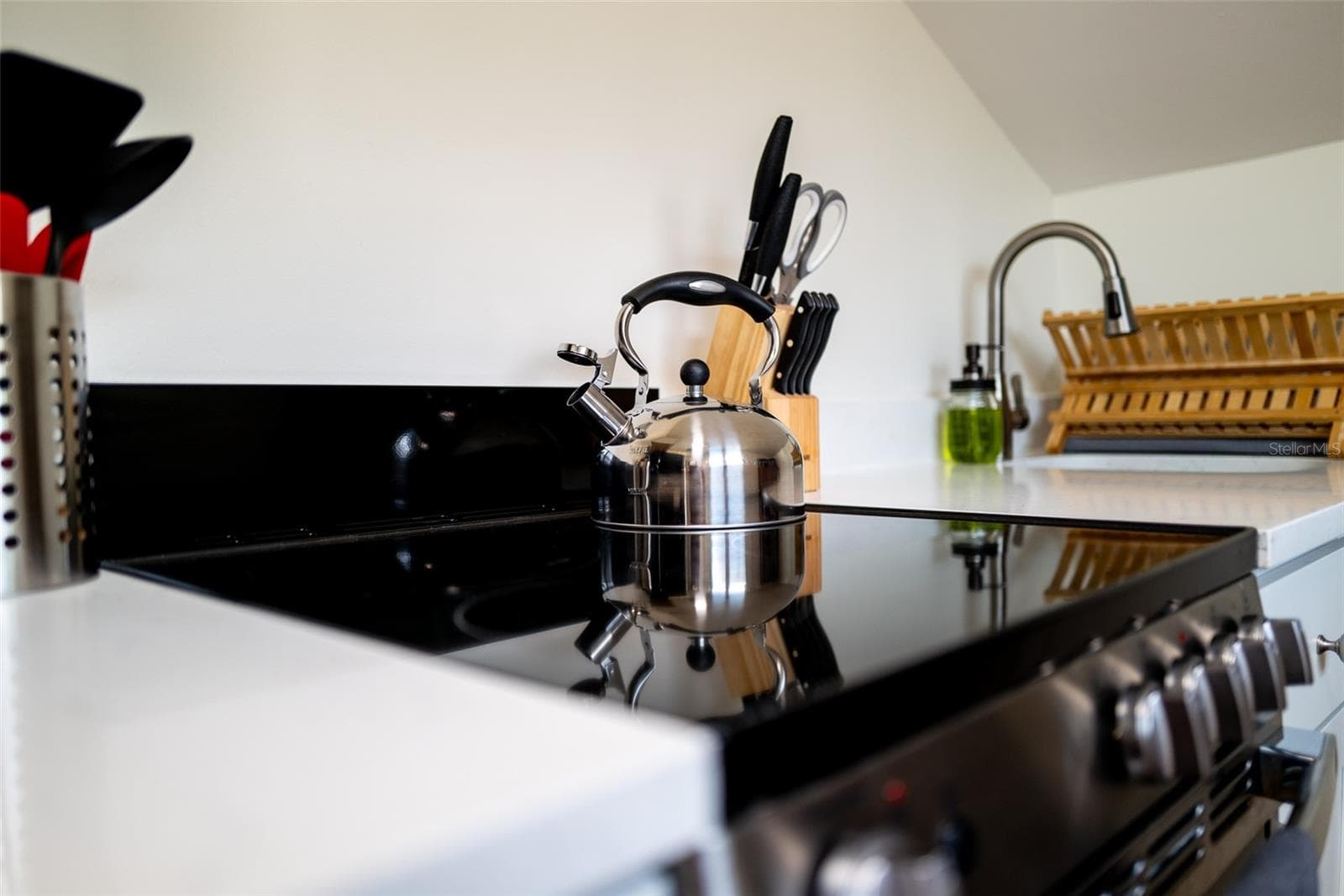 Owners kitchen - 127 17TH AVE S, ST PETERSBURG