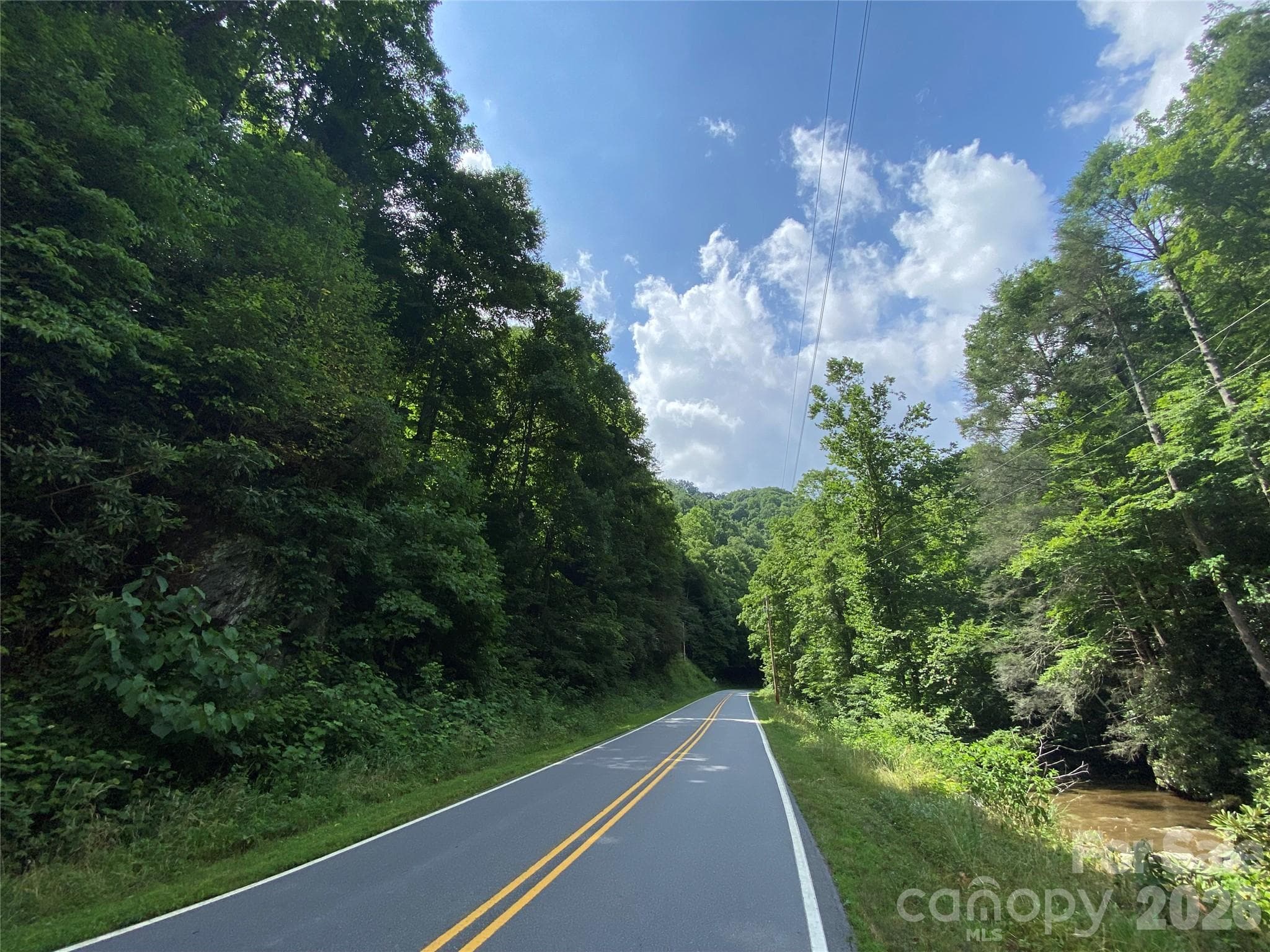 Acreage at 0000 Big Laurel Road, Marshall, photo 8 of 17