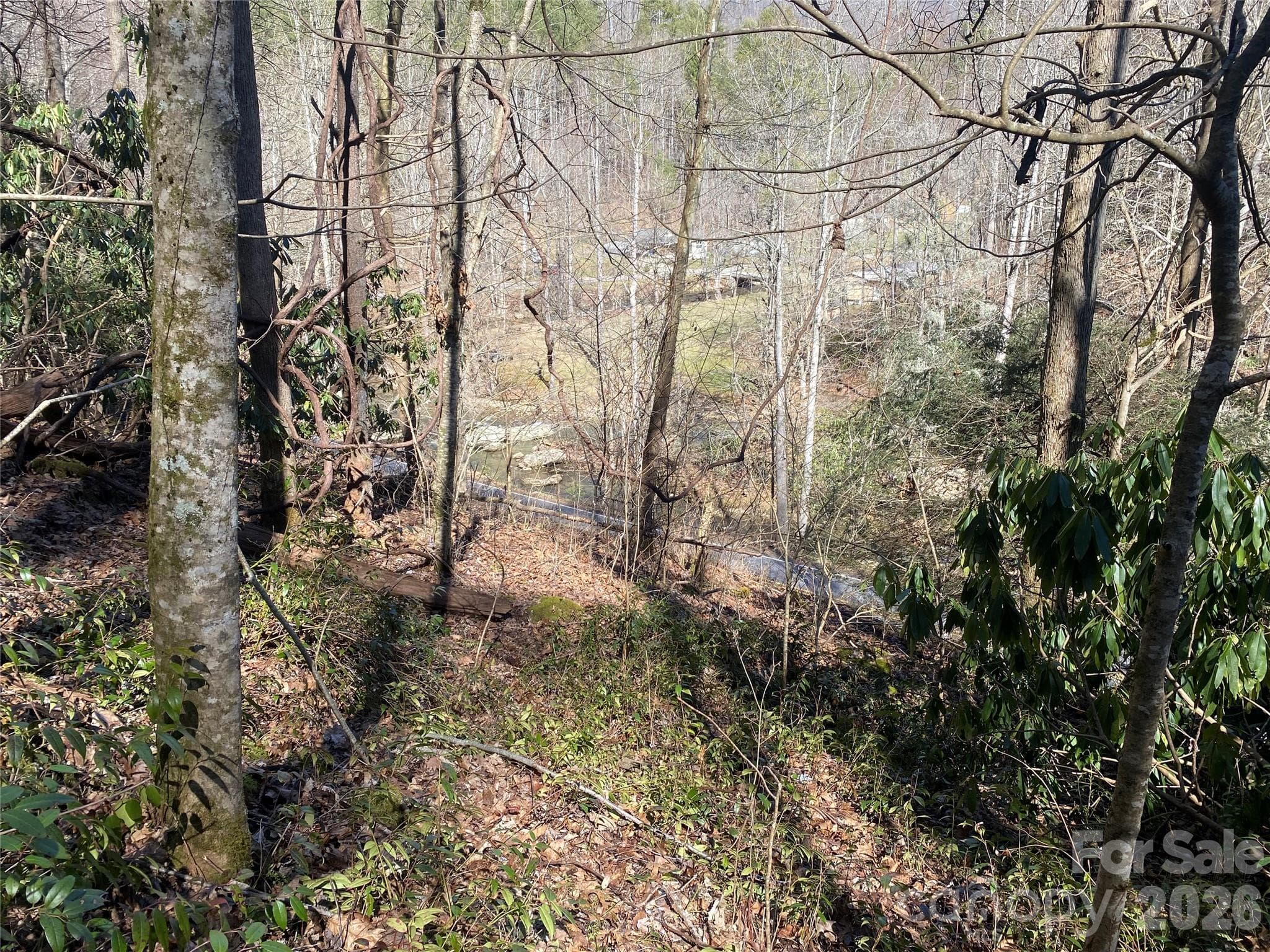 Acreage at 0000 Big Laurel Road, Marshall, photo 13 of 17