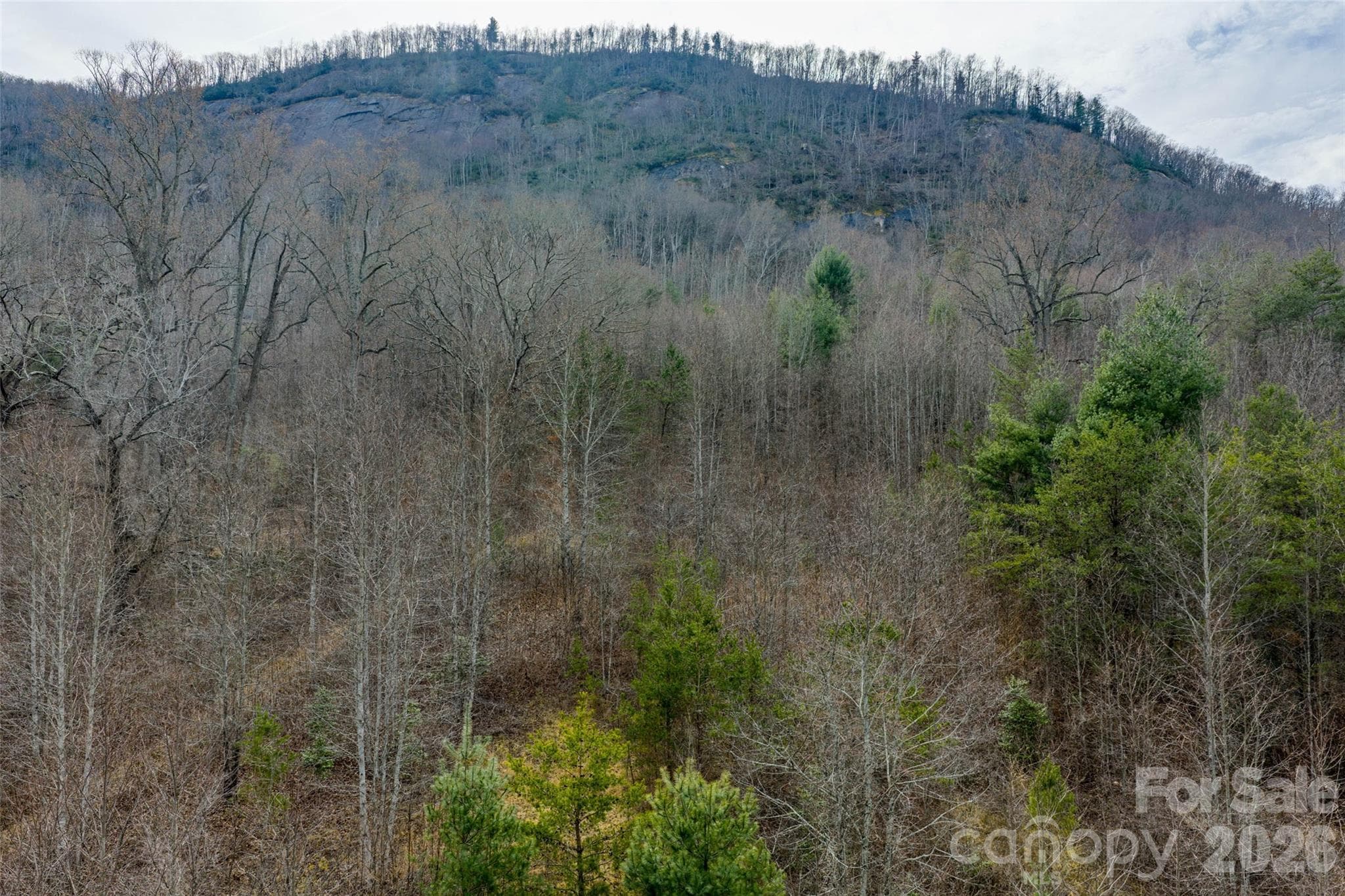 Acreage at 99999 Brush Creek Circle, Fairview, photo 10 of 11