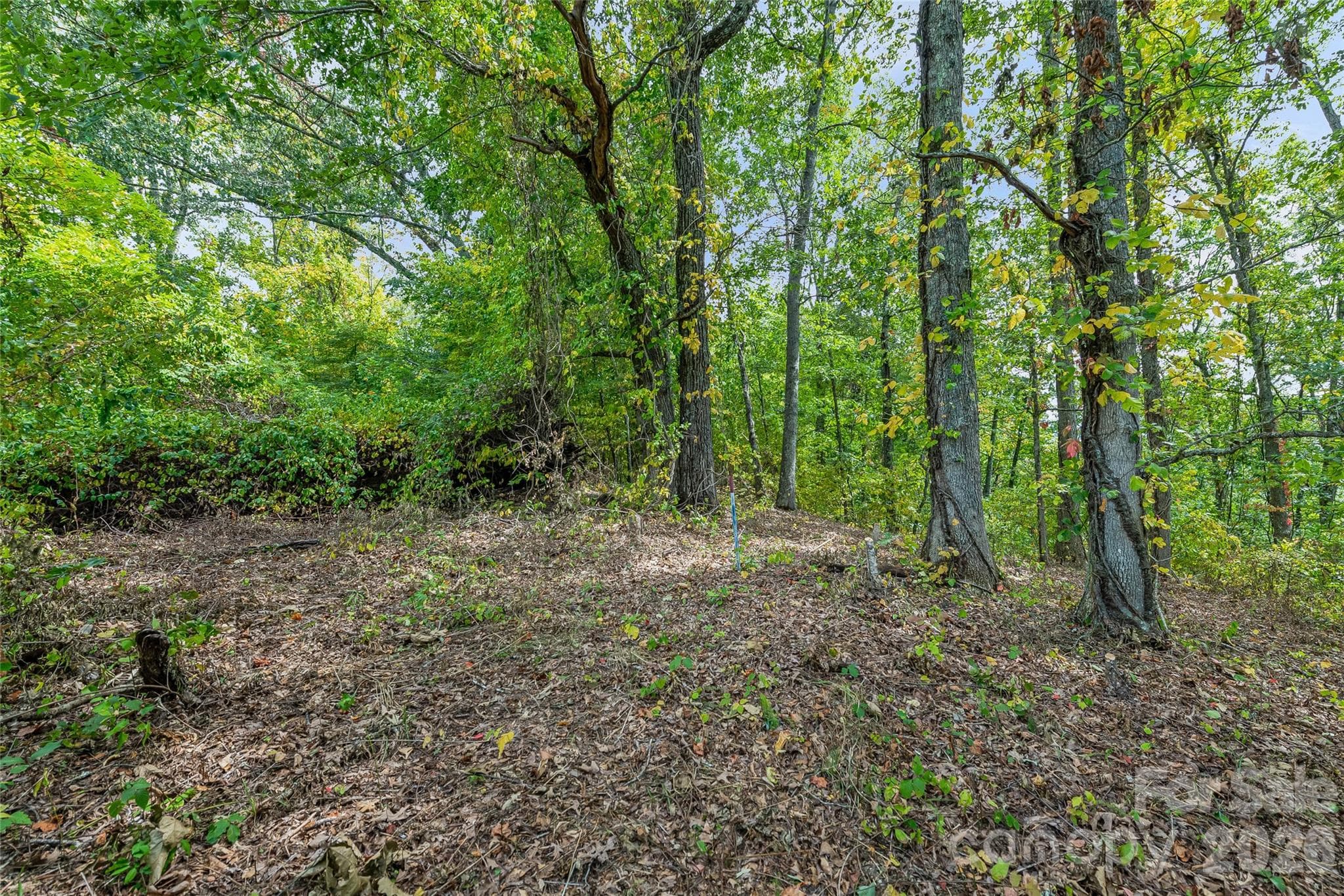 3 gorgeous acres! excellent build-site - Weaverville