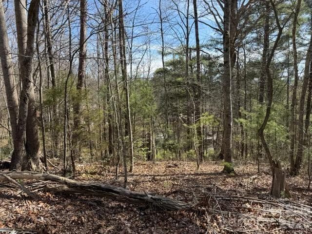 Lot at Asheville, photo 3 of 3