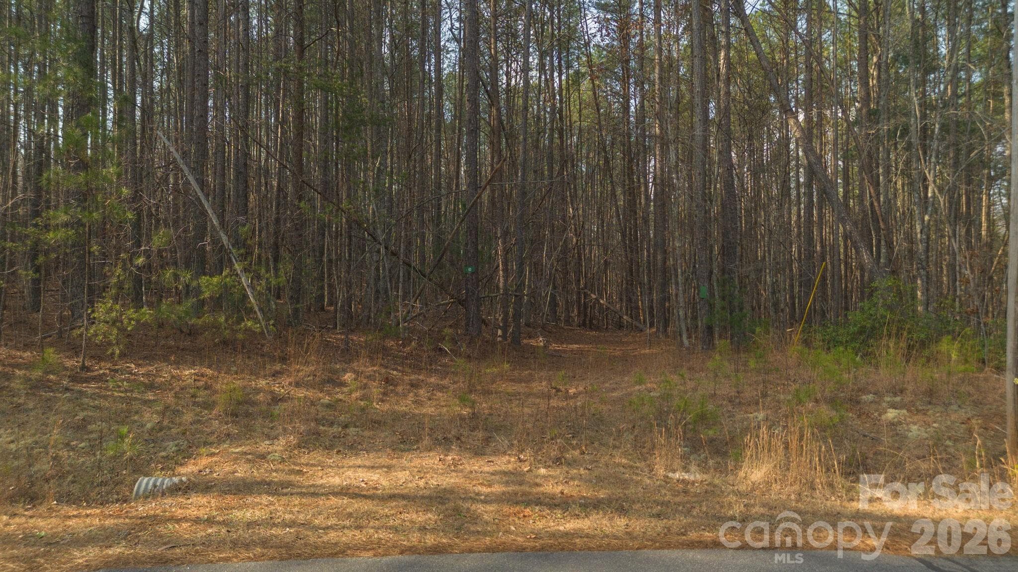 Lot at Morganton, photo 9 of 11