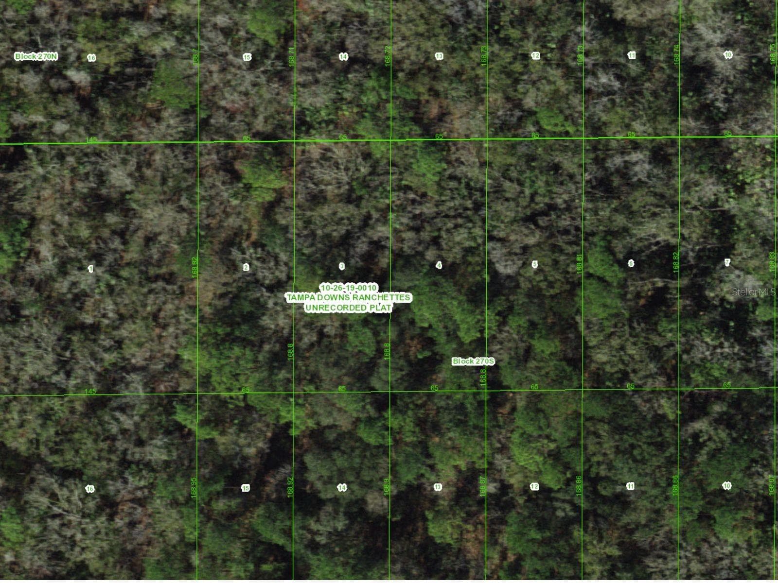 Land at UNASSIGNED, WESLEY CHAPEL, photo 3 of 28
