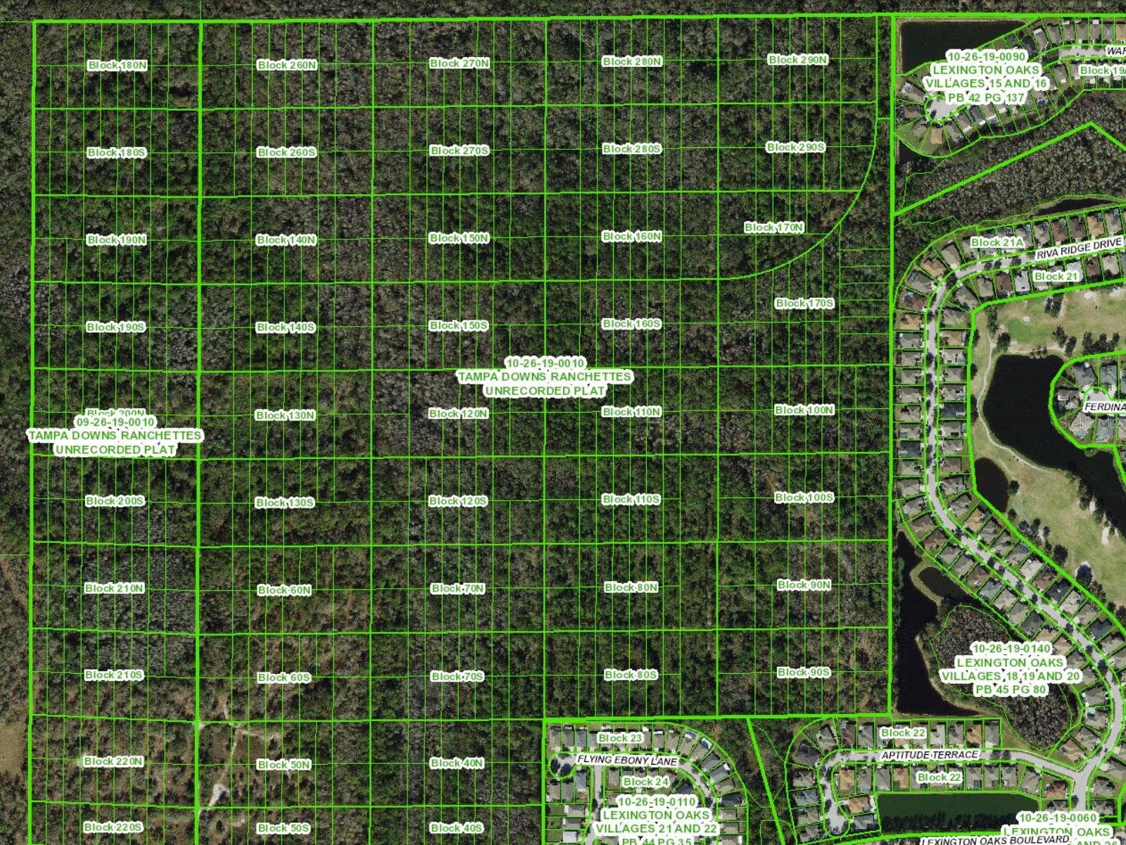 Land at UNASSIGNED, WESLEY CHAPEL, photo 4 of 28