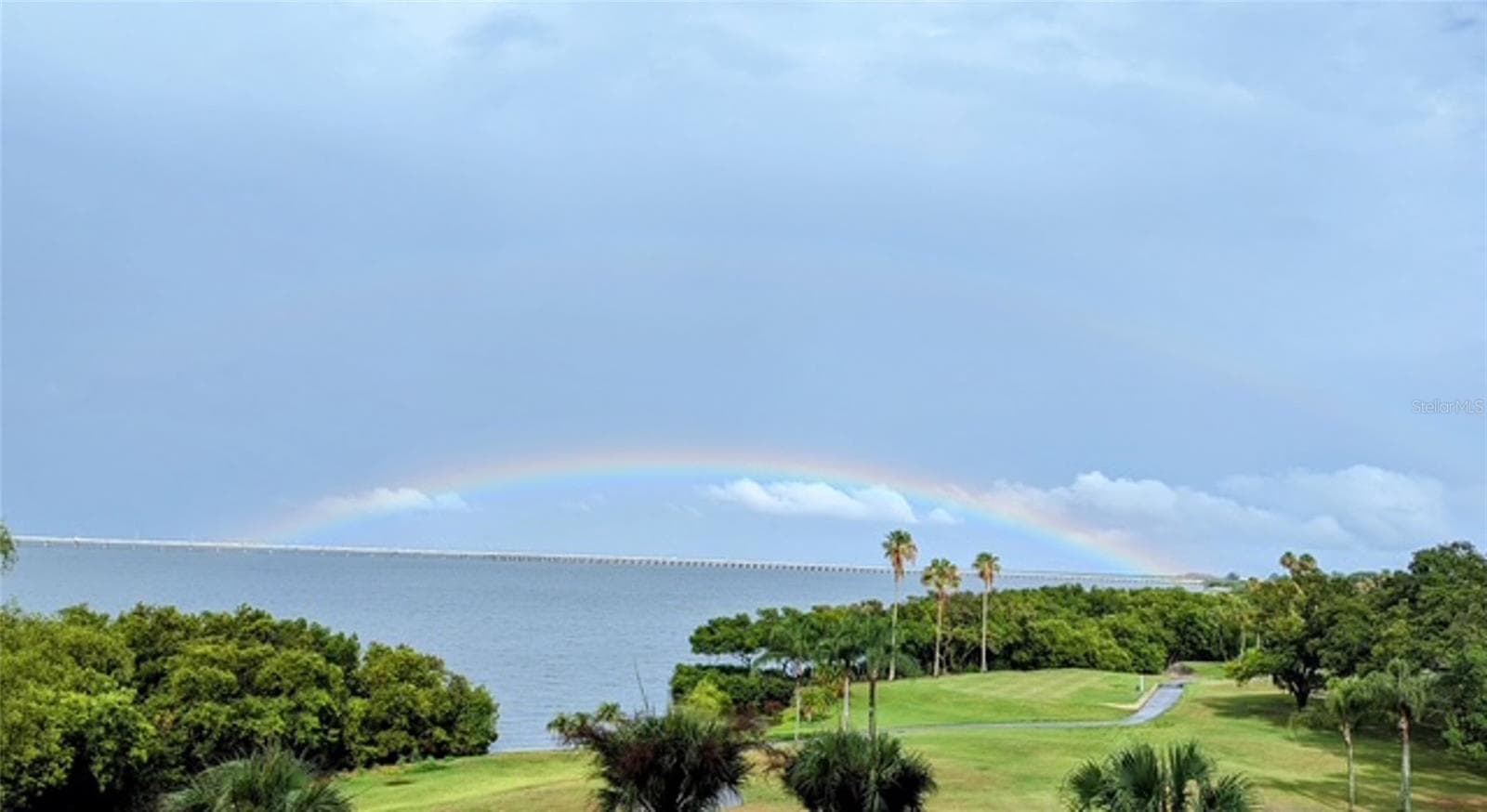 Gorgeous views of Tampa Bay! - 2616 COVE CAY DR #502, CLEARWATER