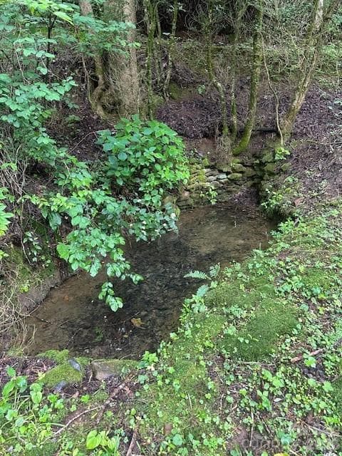 Lot at Sylva, photo 18 of 26