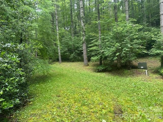 Lot at Sylva, photo 24 of 26