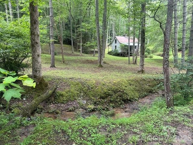 Lot at Sylva, photo 4 of 26