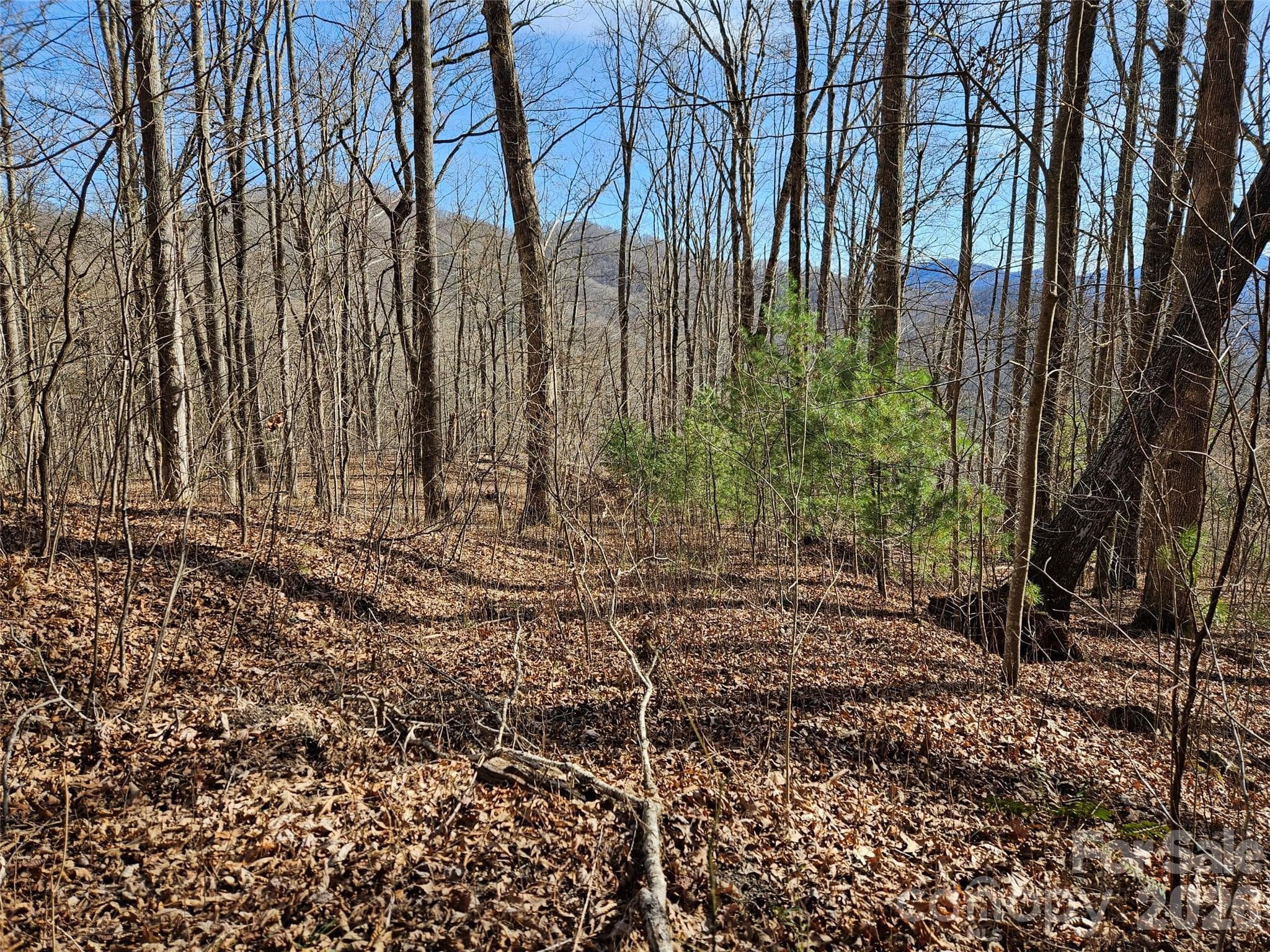 Lot at 262 Si Knob Road, Cullowhee, photo 2 of 14
