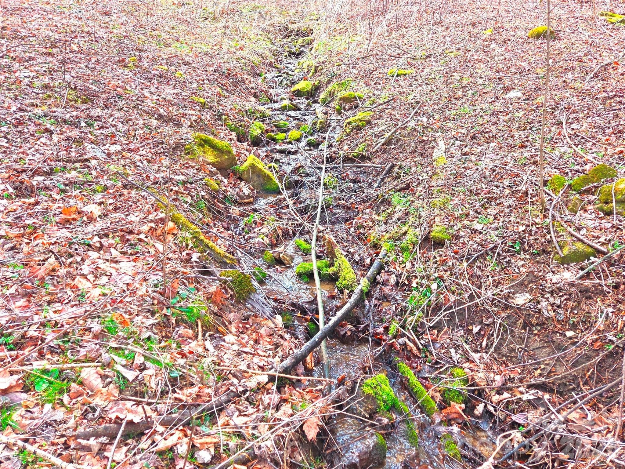 Lot at Waynesville, photo 3 of 23