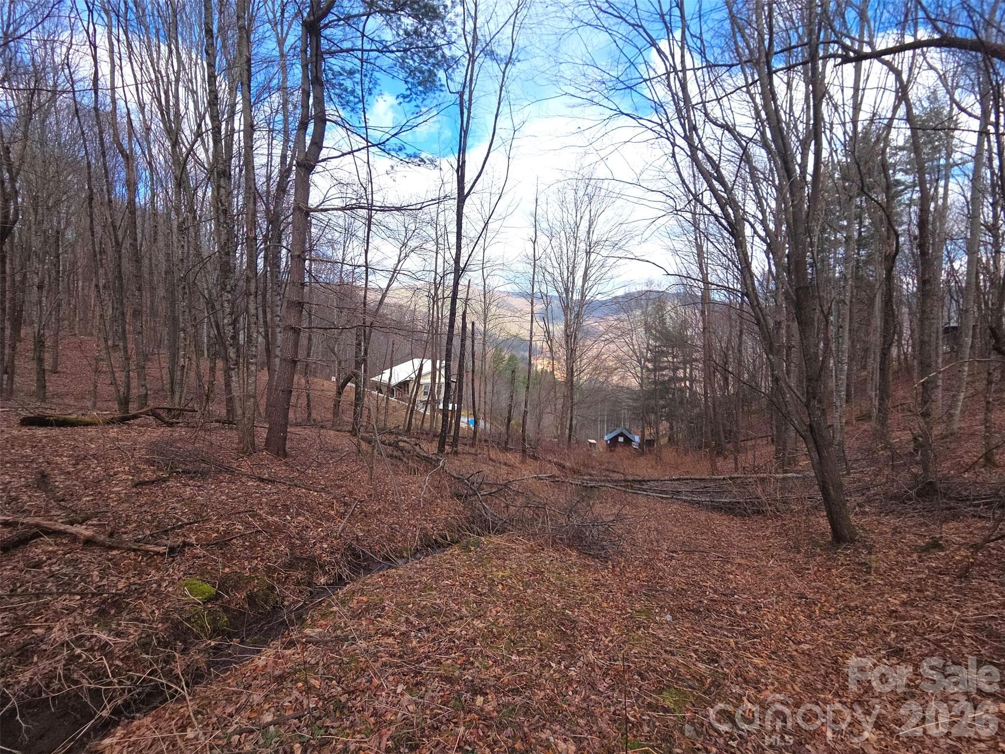 Lot at Waynesville, photo 2 of 23