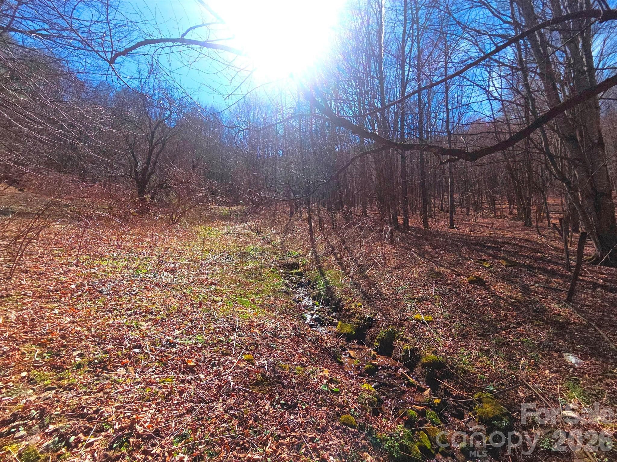 Lot at Waynesville, photo 4 of 23