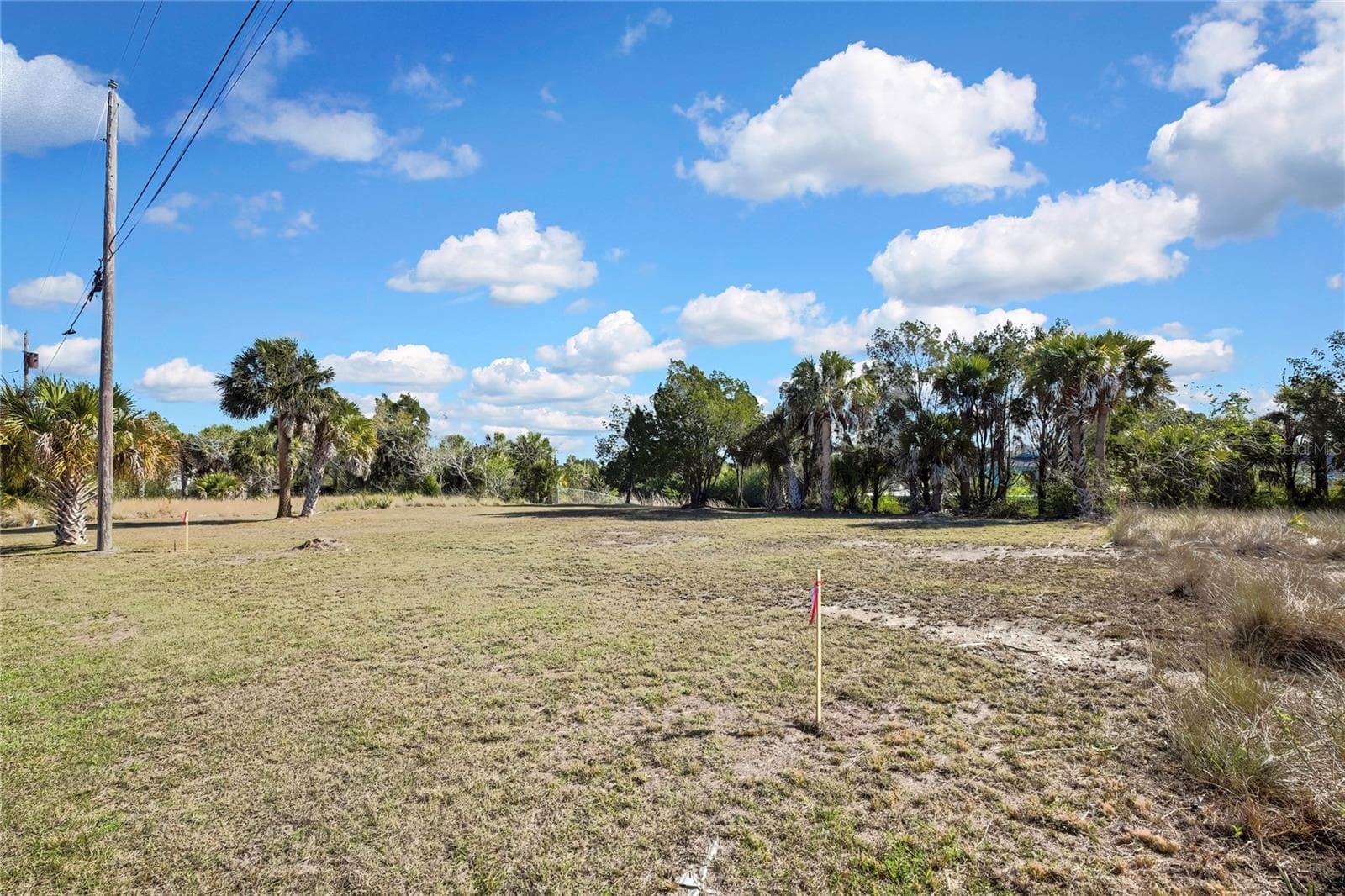 Land at 3202 ROSE ARBOR DR, HERNANDO BEACH, photo 4 of 57