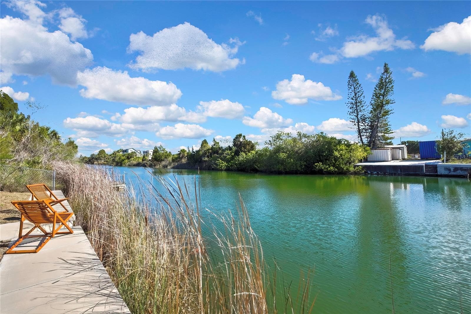 Land at 3202 ROSE ARBOR DR, HERNANDO BEACH, photo 14 of 57