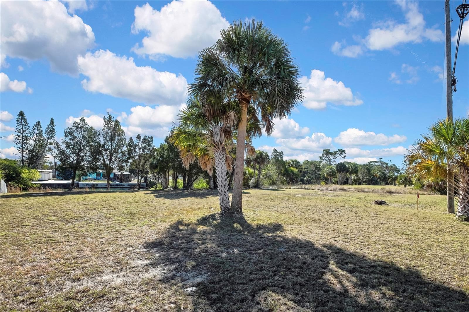 Land at 3202 ROSE ARBOR DR, HERNANDO BEACH, photo 19 of 57