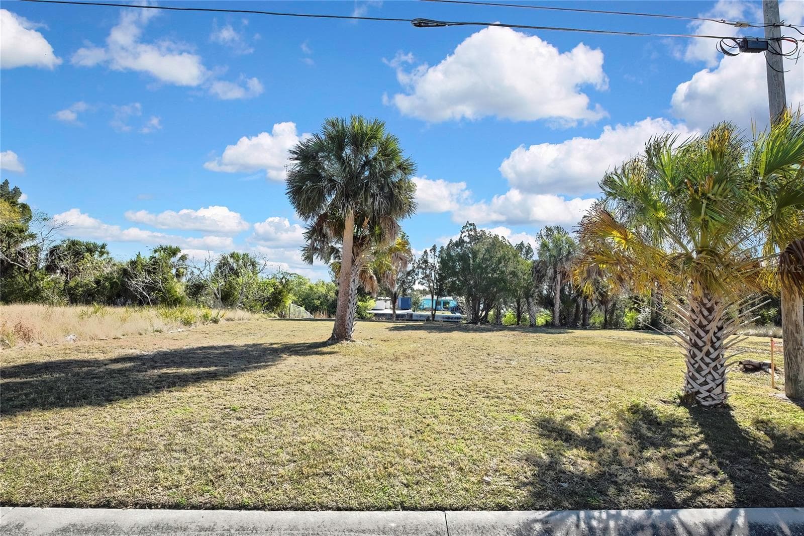 Land at 3202 ROSE ARBOR DR, HERNANDO BEACH, photo 20 of 57