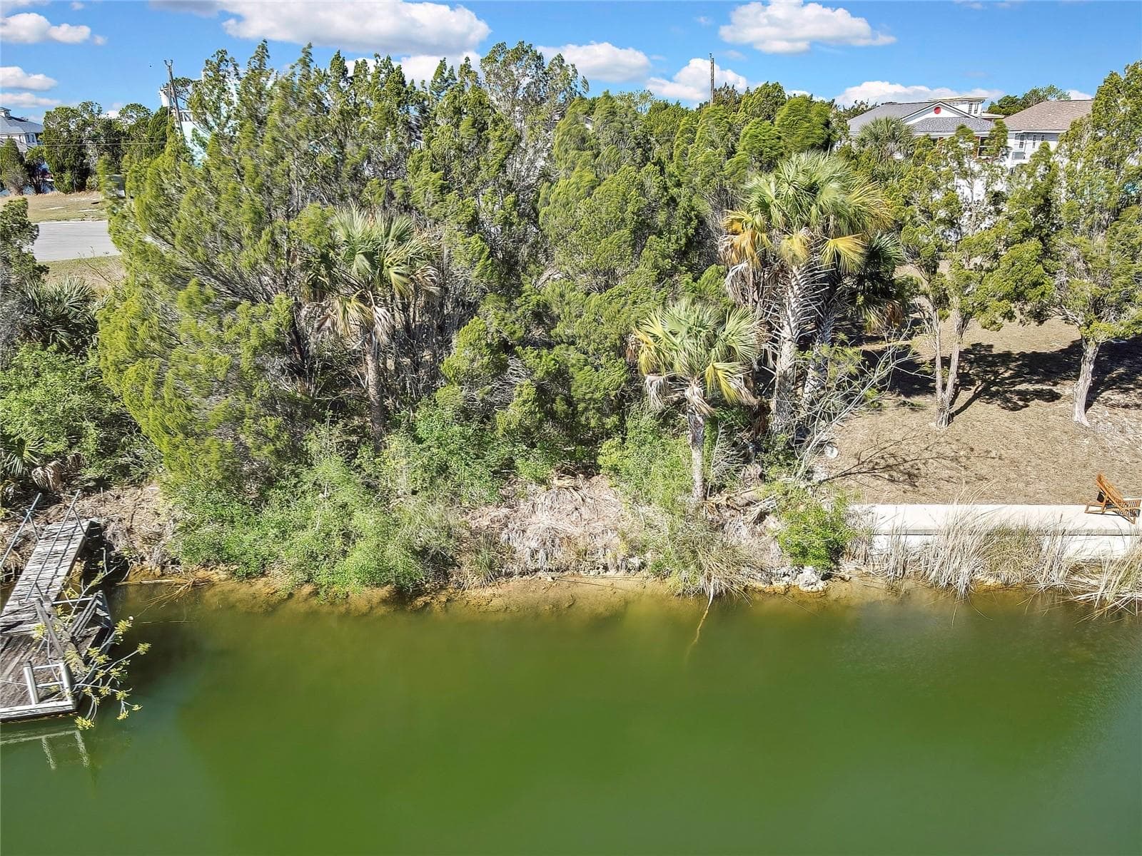 Land at 3202 ROSE ARBOR DR, HERNANDO BEACH, photo 55 of 57