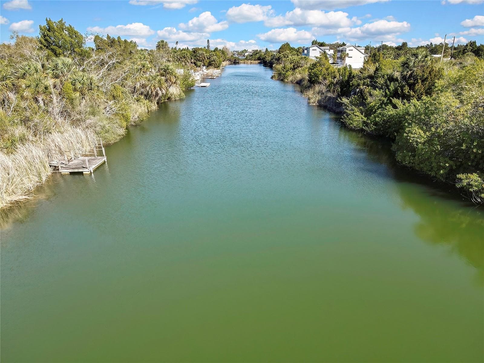 Land at 3202 ROSE ARBOR DR, HERNANDO BEACH, photo 56 of 57