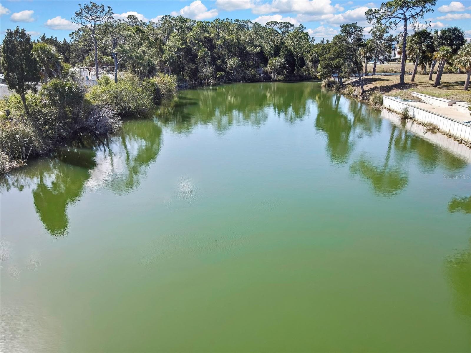 Land at 3202 ROSE ARBOR DR, HERNANDO BEACH, photo 57 of 57