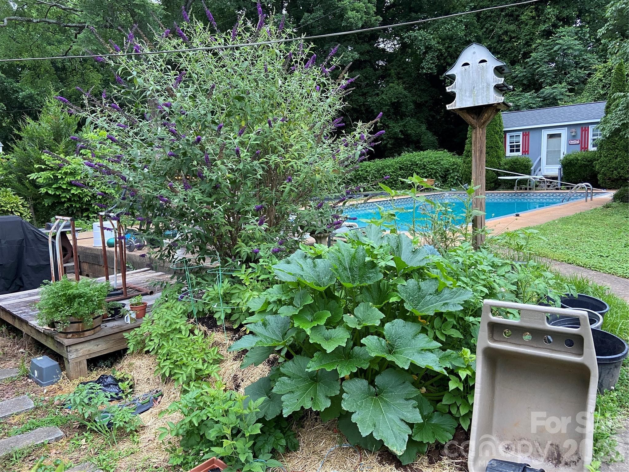 View of Backyard - 3218 Driftwood Drive, Charlotte