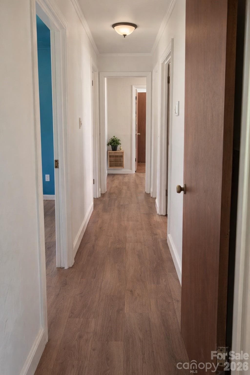 Virtually Staged Hallway - 205 Jewel Street, Chester