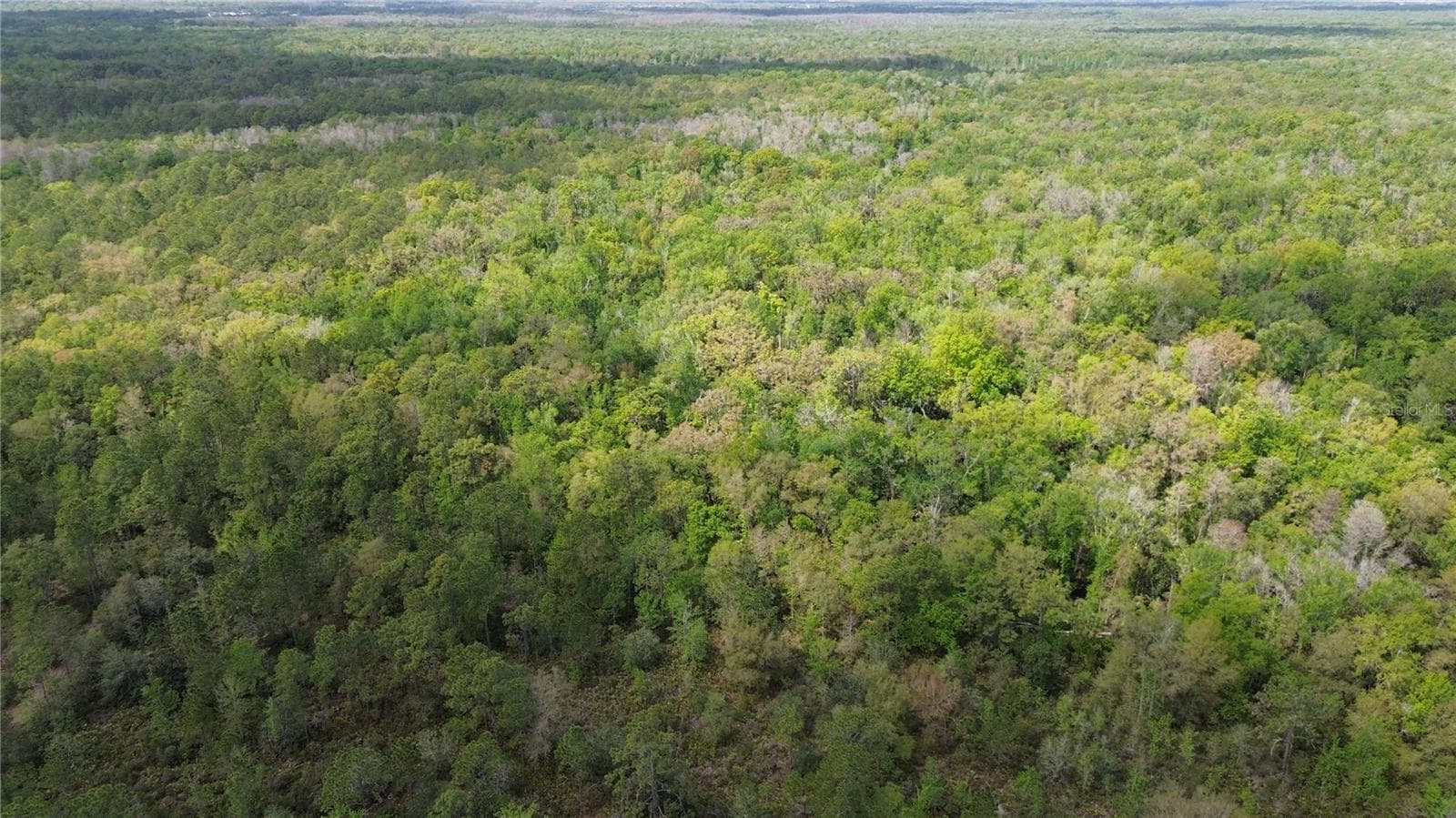 Land at UNASSIGNED, WESLEY CHAPEL, photo 9 of 28