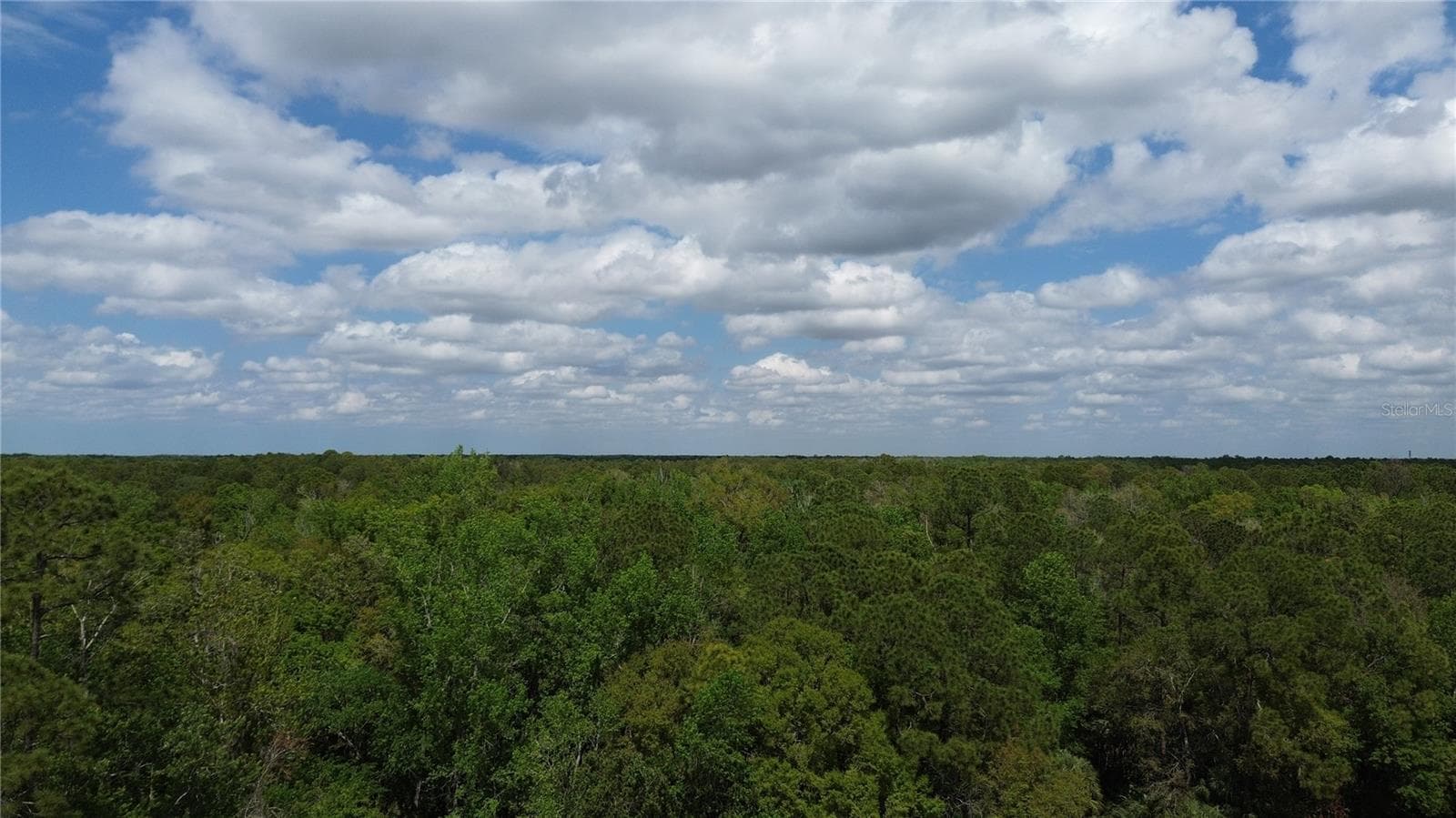 Land at UNASSIGNED, WESLEY CHAPEL, photo 22 of 28