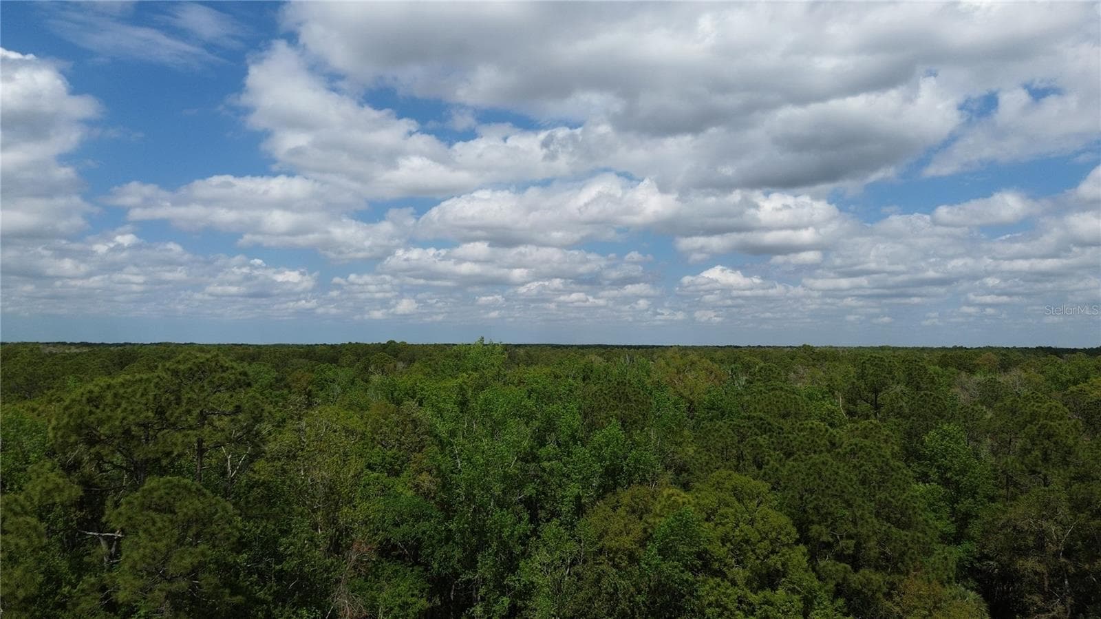 Land at UNASSIGNED, WESLEY CHAPEL, photo 23 of 28