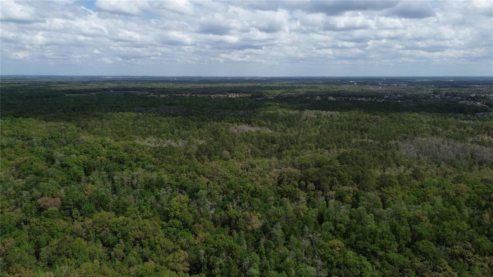 Land at UNASSIGNED, WESLEY CHAPEL, photo 24 of 28