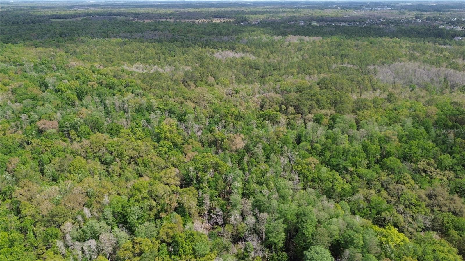 Land at UNASSIGNED, WESLEY CHAPEL, photo 25 of 28