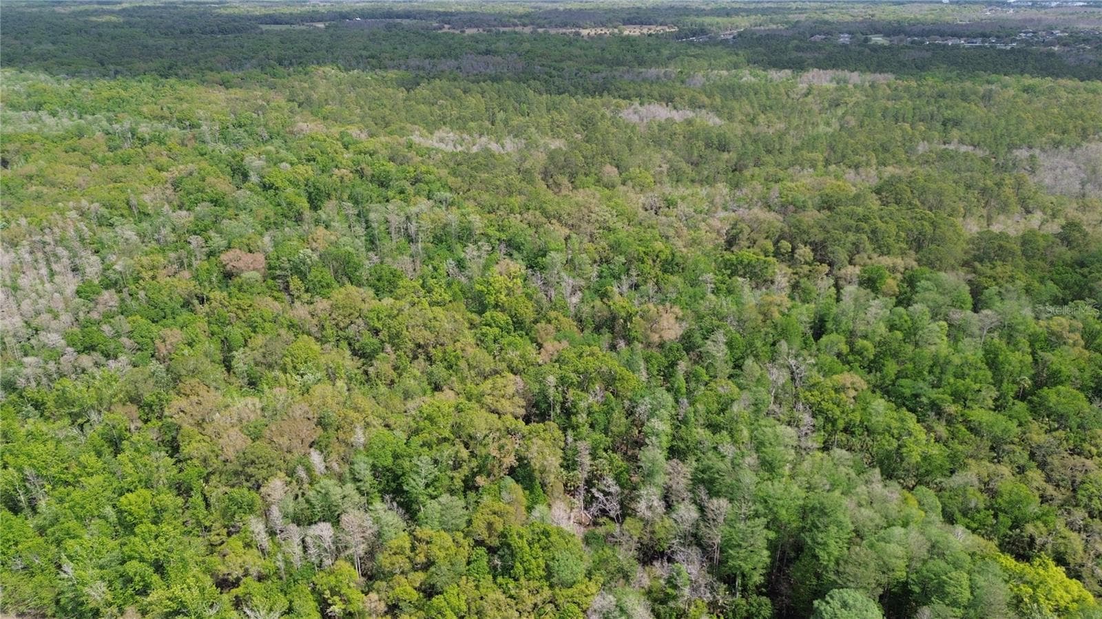 Land at UNASSIGNED, WESLEY CHAPEL, photo 26 of 28