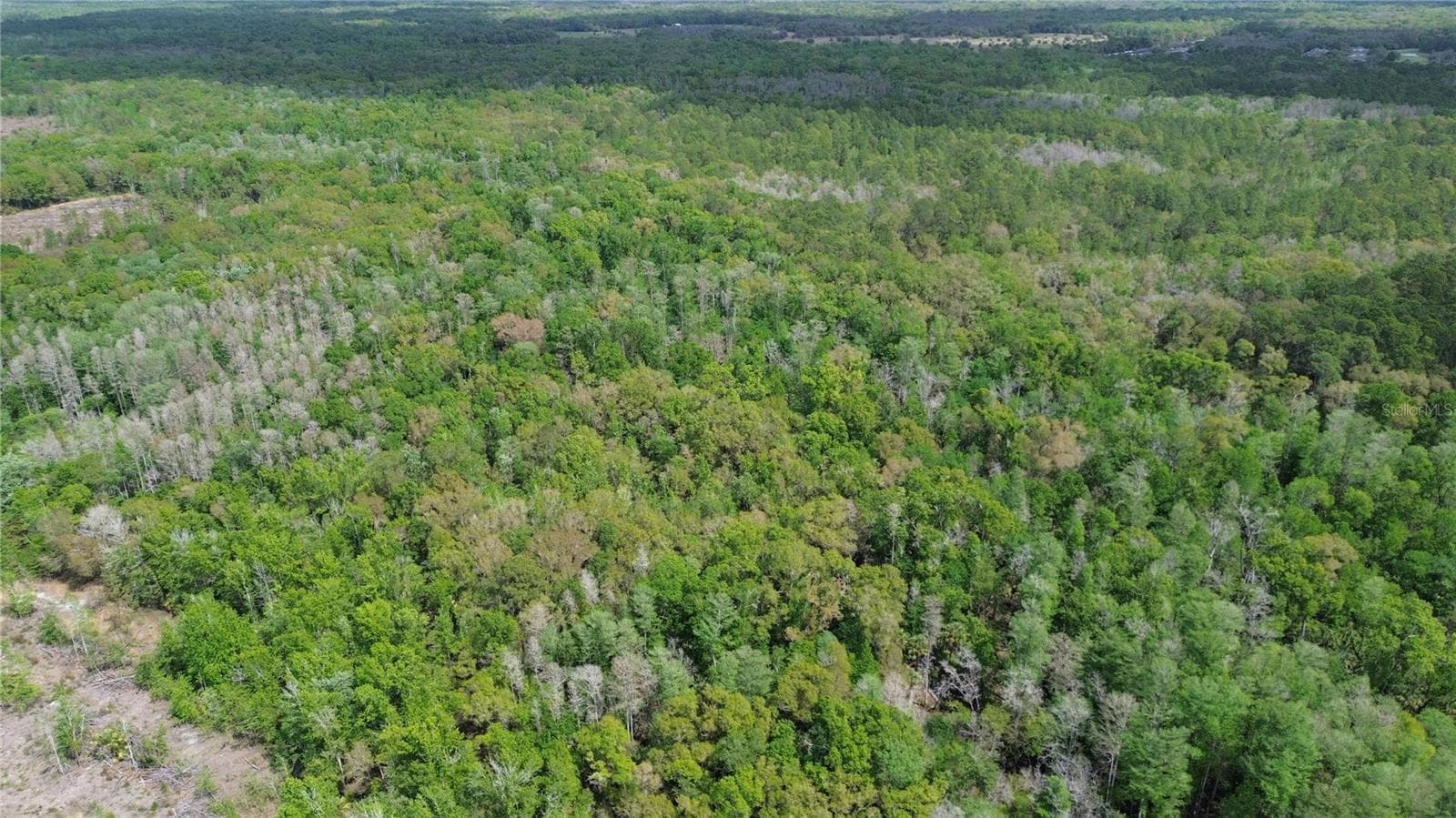Land at UNASSIGNED, WESLEY CHAPEL, photo 27 of 28