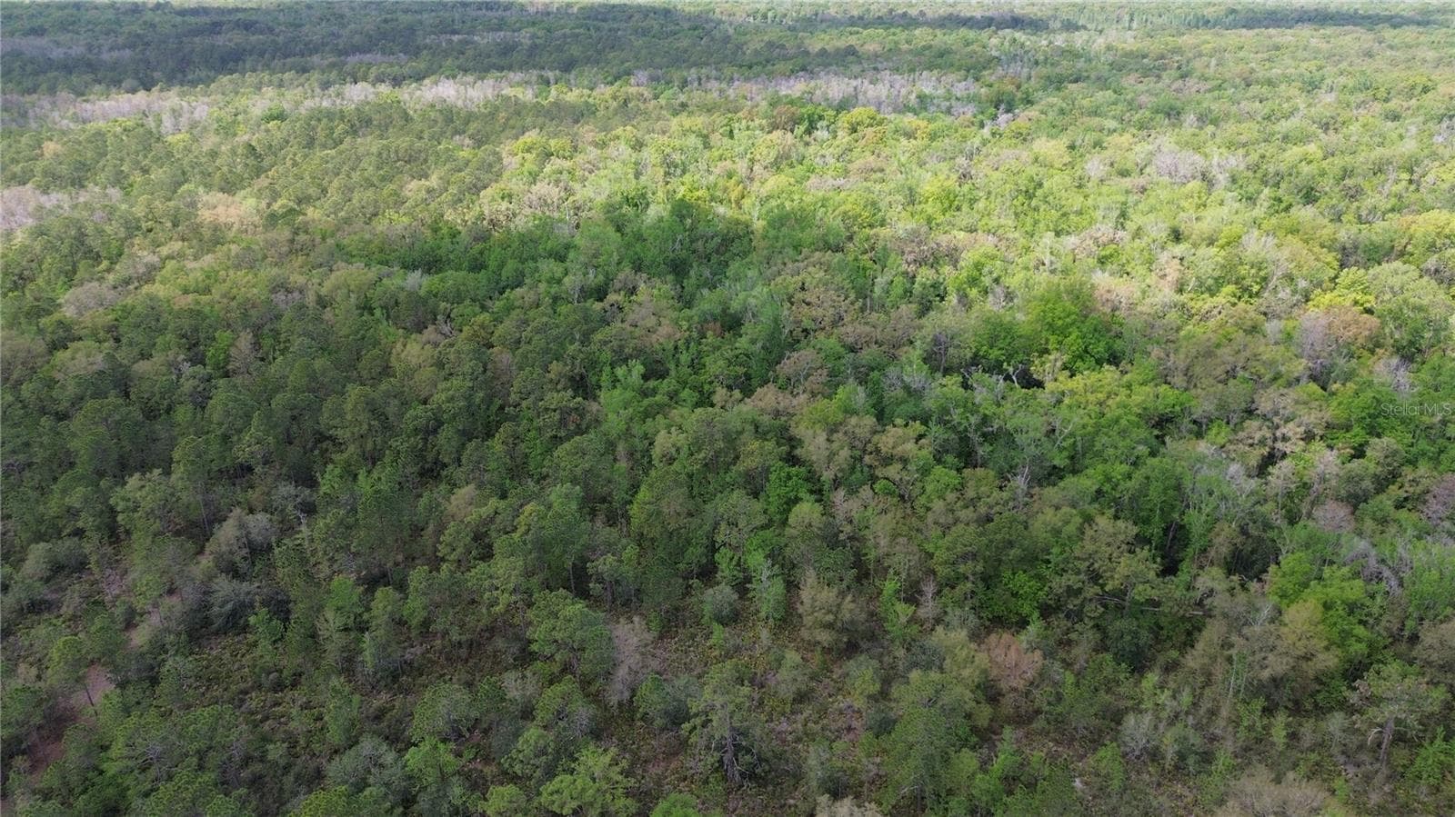 Land at UNASSIGNED, WESLEY CHAPEL, photo 10 of 28