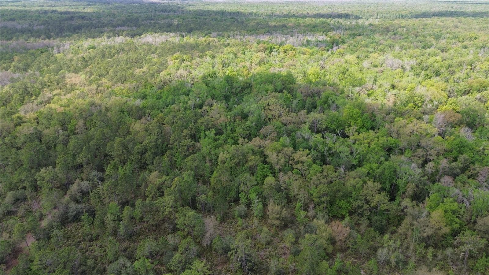 Land at UNASSIGNED, WESLEY CHAPEL, photo 12 of 28