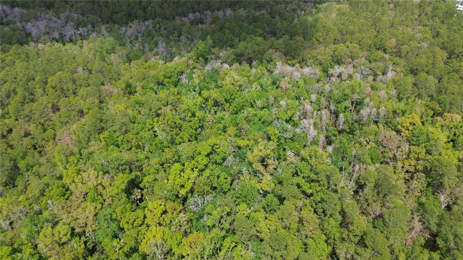 Land at UNASSIGNED, WESLEY CHAPEL, photo 16 of 28
