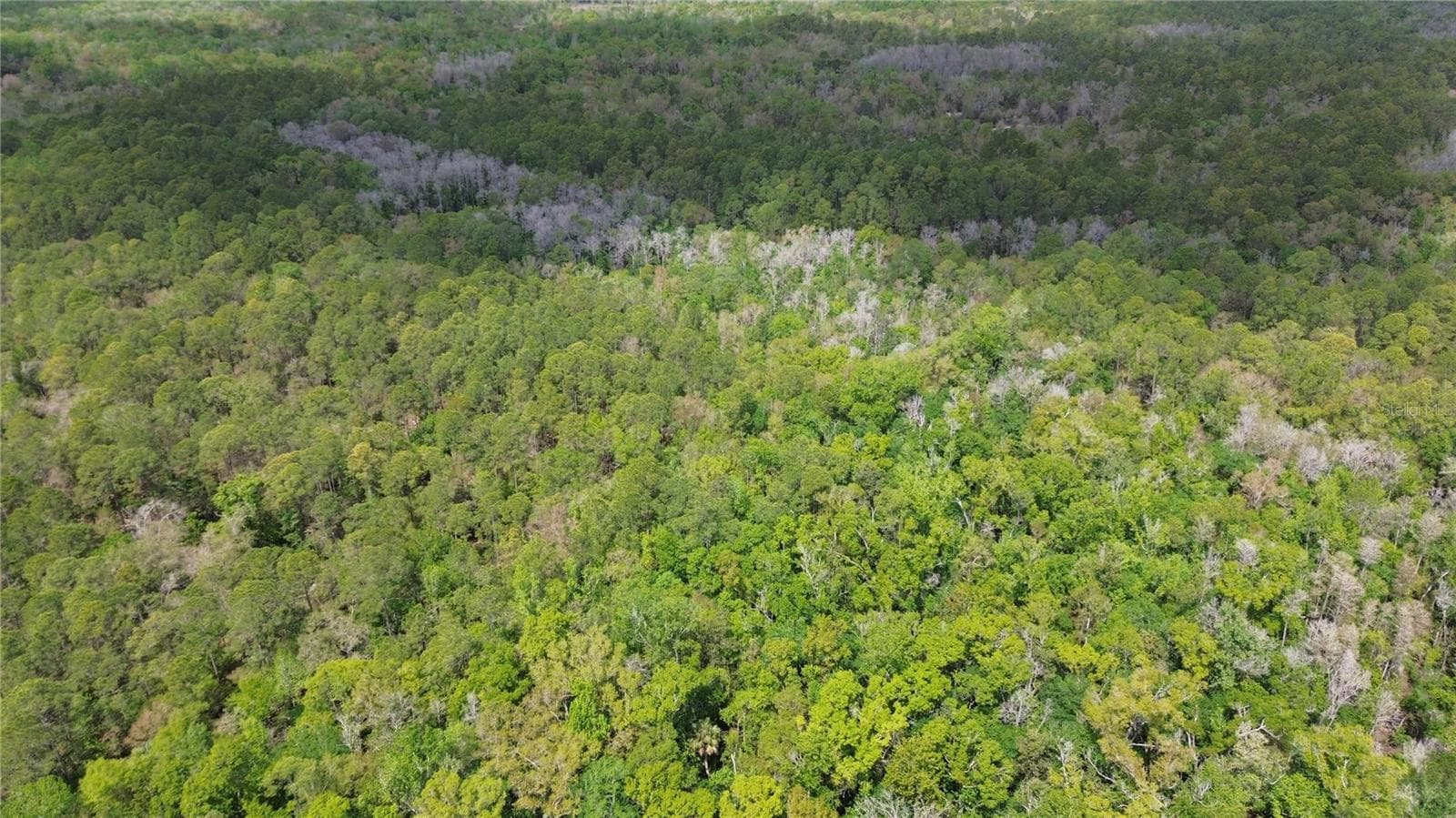 Land at UNASSIGNED, WESLEY CHAPEL, photo 17 of 28